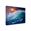 Trademark Fine Art Anthony Casay 'Surfer Over Water' Canvas Art, 24x32 ALI20258-C2432GG